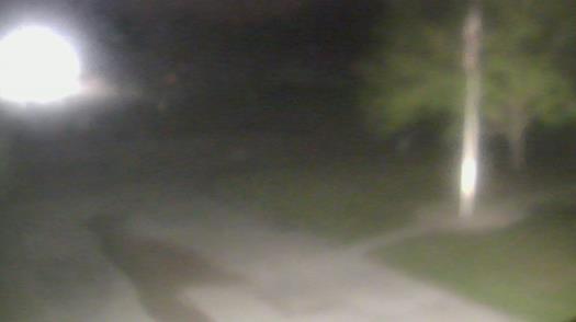 Weather camera view of City of League City Fire Station 4.