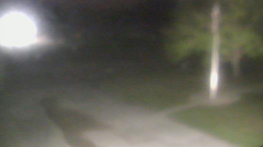 Weather camera view of City of League City Fire Station 4.