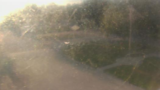 Weather camera view of City of League City Fire Station 4.