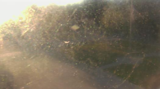 Weather camera view of City of League City Fire Station 4.