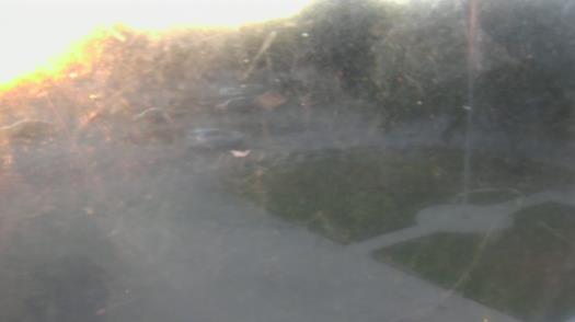 Weather camera view of City of League City Fire Station 4.