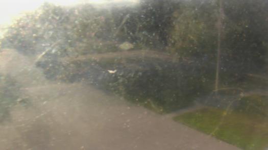 Weather camera view of City of League City Fire Station 4.