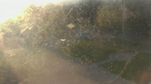 Weather camera view of City of League City Fire Station 4.