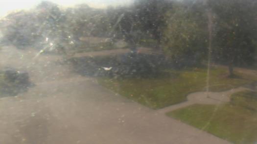 Weather camera view of City of League City Fire Station 4.