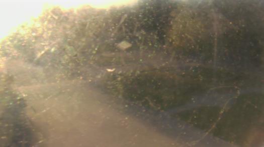 Weather camera view of City of League City Fire Station 4.