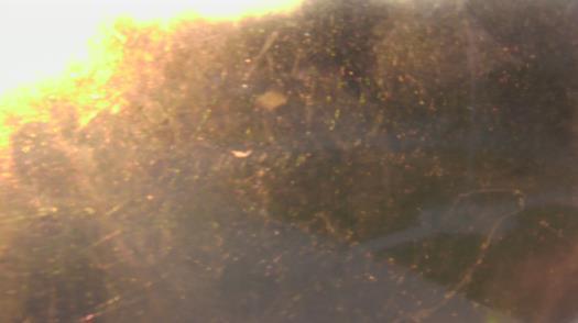 Weather camera view of City of League City Fire Station 4.