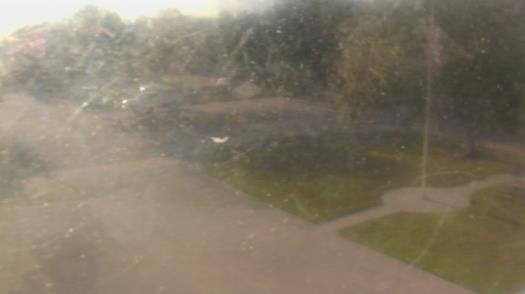 Weather camera view of City of League City Fire Station 4.