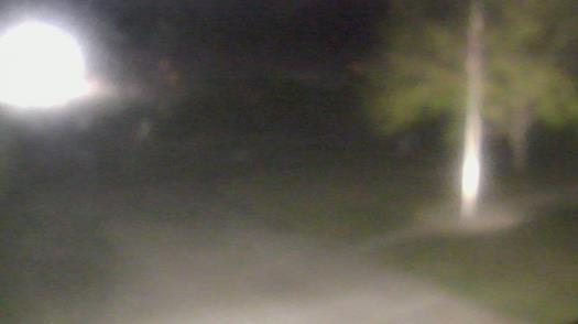 Weather camera view of City of League City Fire Station 4.