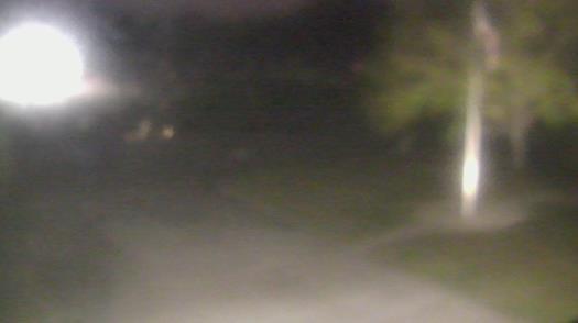 Weather camera view of City of League City Fire Station 4.