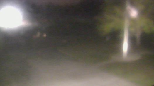 Weather camera view of City of League City Fire Station 4.