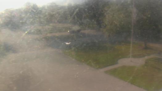 Weather camera view of City of League City Fire Station 4.