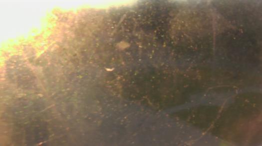 Weather camera view of City of League City Fire Station 4.