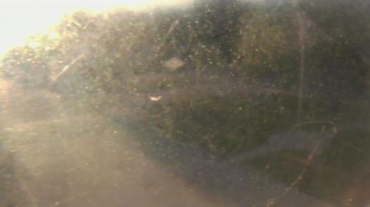 Weather camera view of City of League City Fire Station 4.