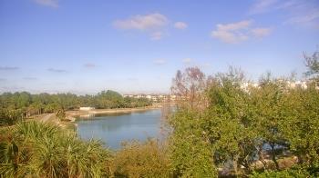Weather camera view of Lakewood Ranch Town Hall.