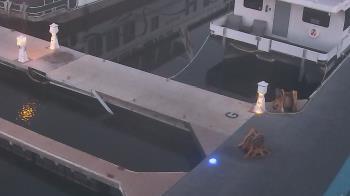 Weather camera view of Lake Powell Resorts and Marinas - Wahweap Marina.