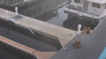 Weather camera view of Lake Powell Resorts and Marinas - Wahweap Marina.