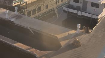 Weather camera view of Lake Powell Resorts and Marinas - Wahweap Marina.