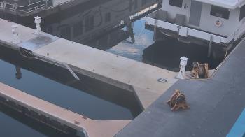 Weather camera view of Lake Powell Resorts and Marinas - Wahweap Marina.