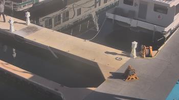 Weather camera view of Lake Powell Resorts and Marinas - Wahweap Marina.