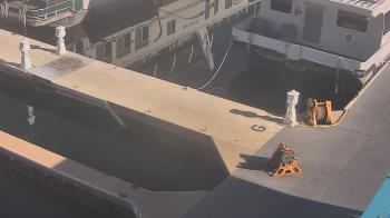 Weather camera view of Lake Powell Resorts and Marinas - Wahweap Marina.