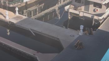Weather camera view of Lake Powell Resorts and Marinas - Wahweap Marina.