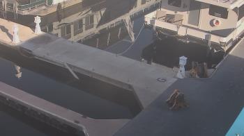 Weather camera view of Lake Powell Resorts and Marinas - Wahweap Marina.