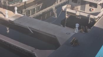 Weather camera view of Lake Powell Resorts and Marinas - Wahweap Marina.