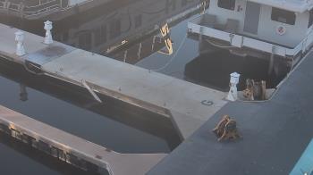 Weather camera view of Lake Powell Resorts and Marinas - Wahweap Marina.