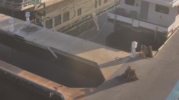 Weather camera view of Lake Powell Resorts and Marinas - Wahweap Marina.