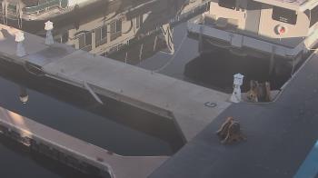 Weather camera view of Lake Powell Resorts and Marinas - Wahweap Marina.