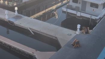 Weather camera view of Lake Powell Resorts and Marinas - Wahweap Marina.