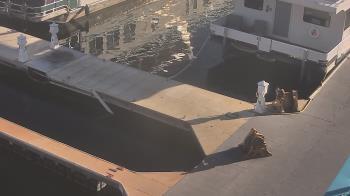 Weather camera view of Lake Powell Resorts and Marinas - Wahweap Marina.