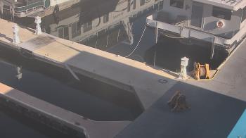 Weather camera view of Lake Powell Resorts and Marinas - Wahweap Marina.