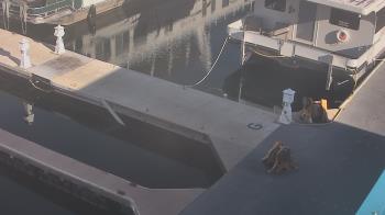 Weather camera view of Lake Powell Resorts and Marinas - Wahweap Marina.