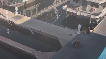 Weather camera view of Lake Powell Resorts and Marinas - Wahweap Marina.