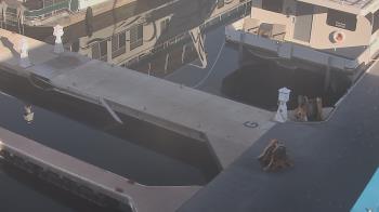 Weather camera view of Lake Powell Resorts and Marinas - Wahweap Marina.