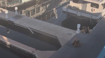 Weather camera view of Lake Powell Resorts and Marinas - Wahweap Marina.