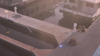 Weather camera view of Lake Powell Resorts and Marinas - Wahweap Marina.