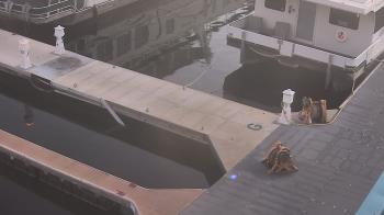 Weather camera view of Lake Powell Resorts and Marinas - Wahweap Marina.