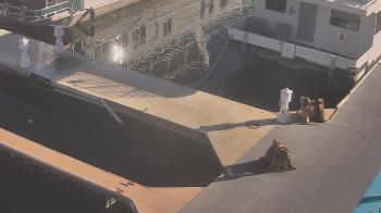 Weather camera view of Lake Powell Resorts and Marinas - Wahweap Marina.