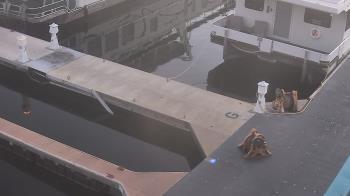 Weather camera view of Lake Powell Resorts and Marinas - Wahweap Marina.