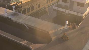 Weather camera view of Lake Powell Resorts and Marinas - Wahweap Marina.