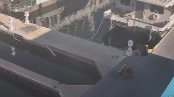 Weather camera view of Lake Powell Resorts and Marinas - Wahweap Marina.