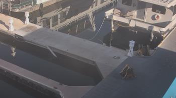 Weather camera view of Lake Powell Resorts and Marinas - Wahweap Marina.