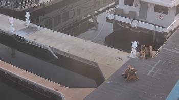 Weather camera view of Lake Powell Resorts and Marinas - Wahweap Marina.