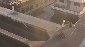 Weather camera view of Lake Powell Resorts and Marinas - Wahweap Marina.