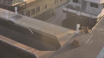 Weather camera view of Lake Powell Resorts and Marinas - Wahweap Marina.