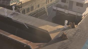 Weather camera view of Lake Powell Resorts and Marinas - Wahweap Marina.