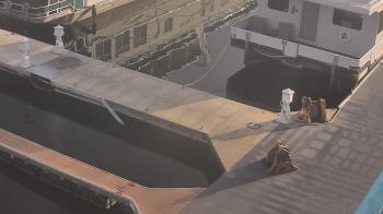 Weather camera view of Lake Powell Resorts and Marinas - Wahweap Marina.