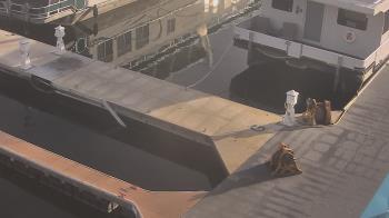 Weather camera view of Lake Powell Resorts and Marinas - Wahweap Marina.